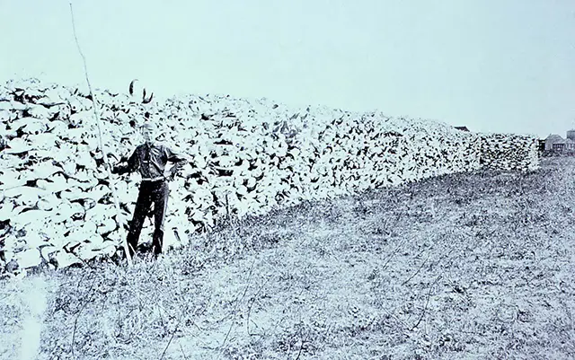Haunting Photos of the Bison Extermination