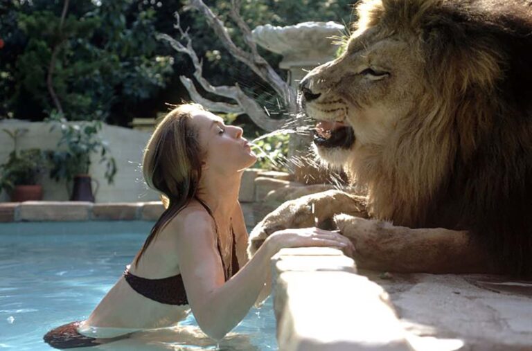 Incredible Photos of Neil, the Pet Lion of Tippi Hedren and Melanie Griffith, 1971