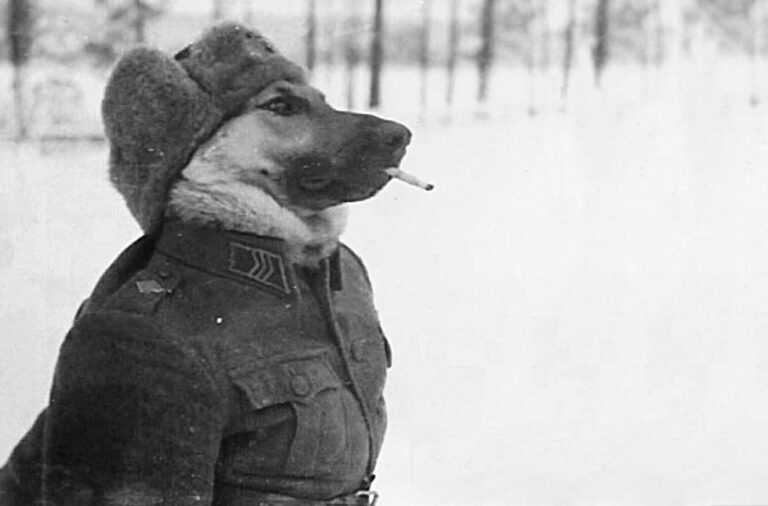 Odd Photos from World War II, 1939-1945