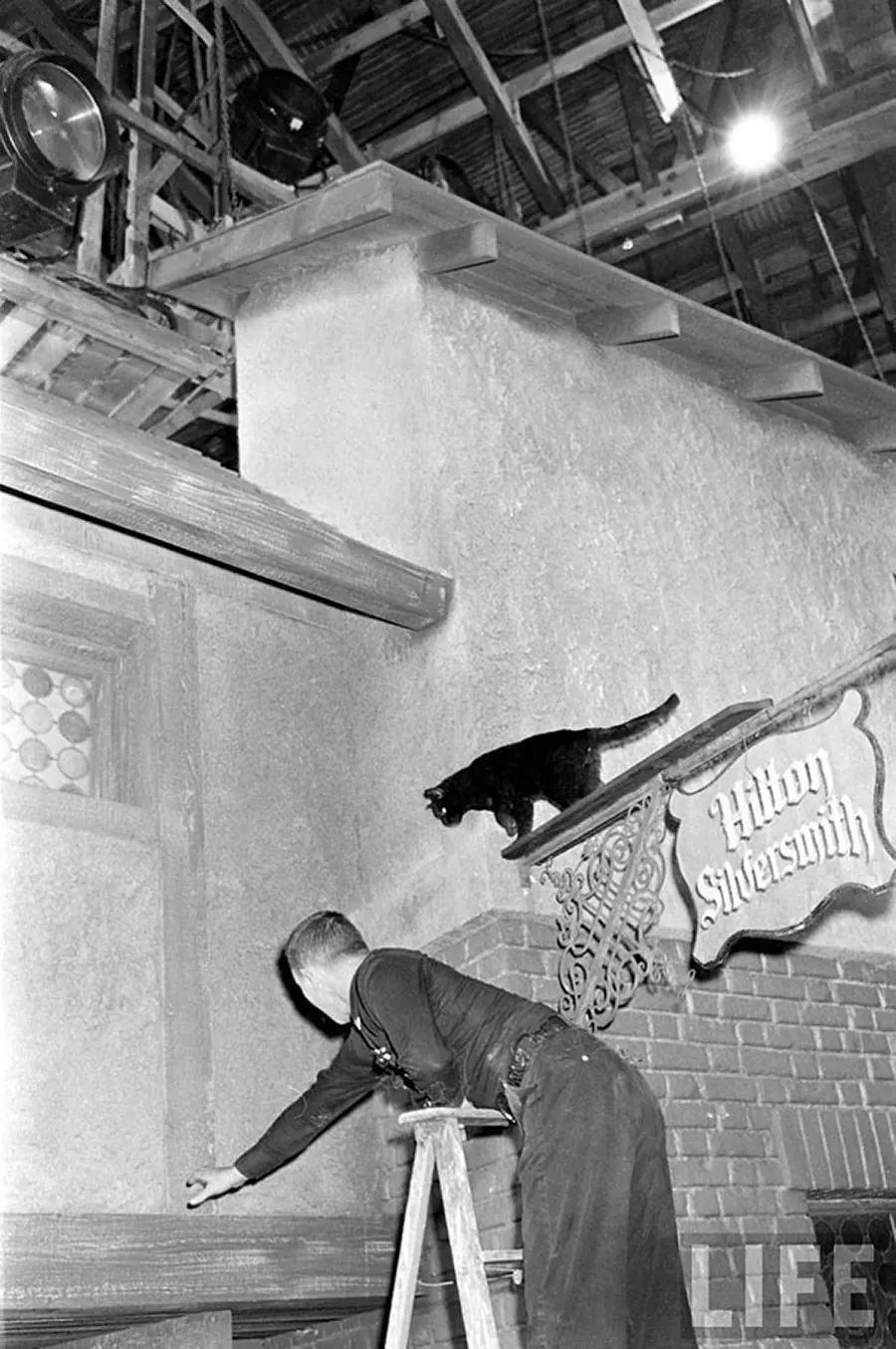 black cat audition hollywood