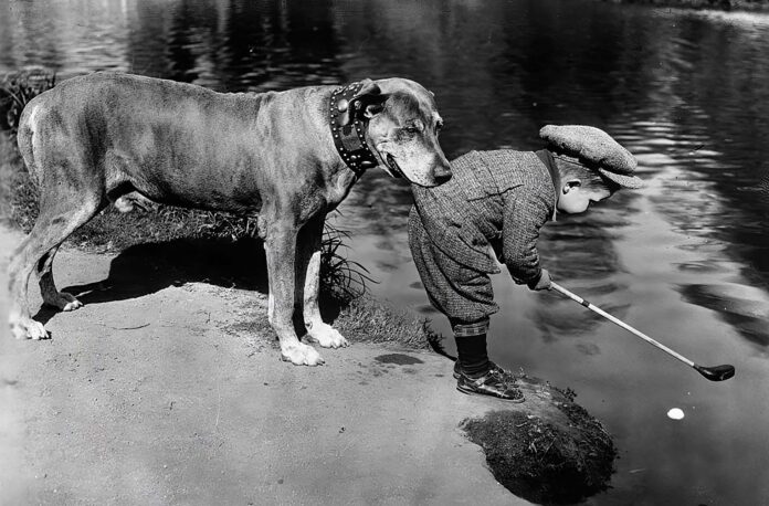 Vintage Snapshots of People and Their Beloved Pets from Bygone