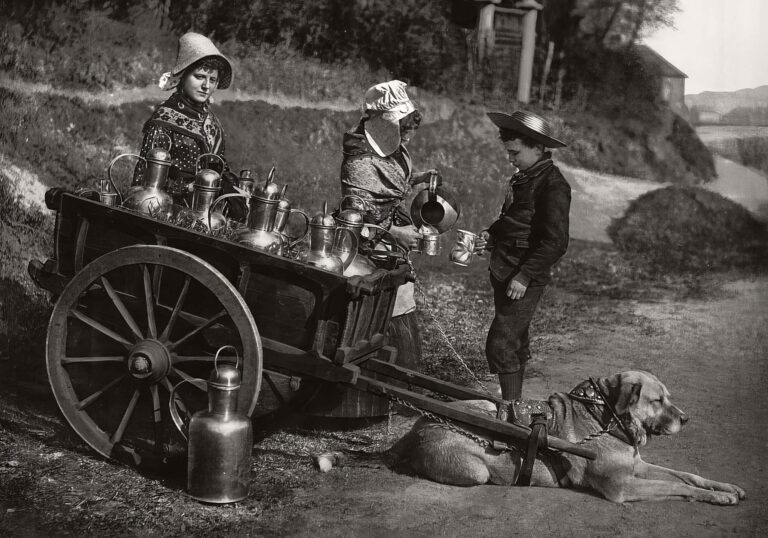 When Milk Delivery Was Done by Dog-Drawn Carts: Vintage Photos from the Early 20th Century