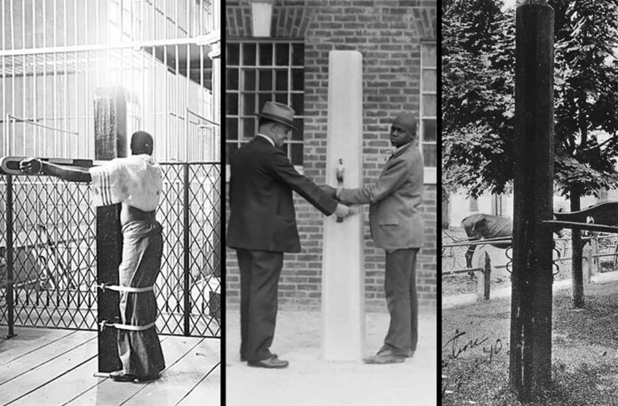 Whipping Post: A Brutal Chapter in Punitive History