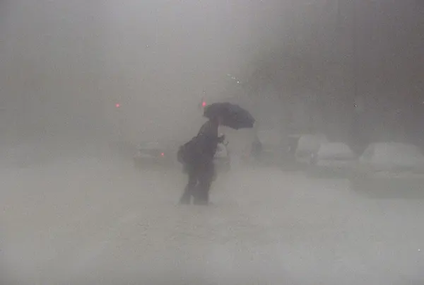 New York Blizzard of 1996 Photos