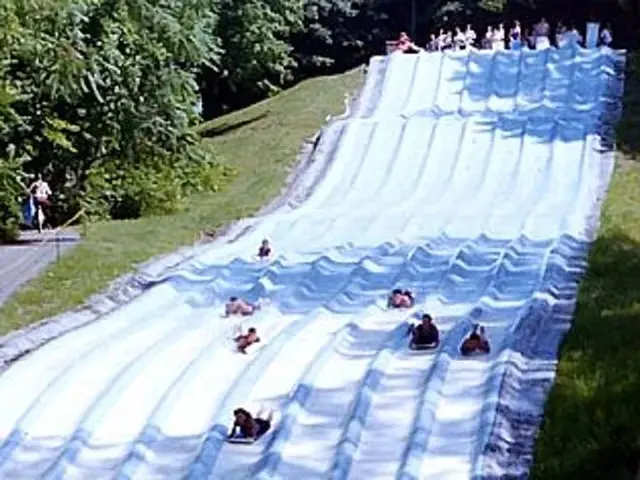 Action Park Photos