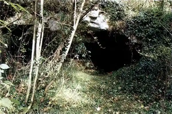 Cussac Cave Photos