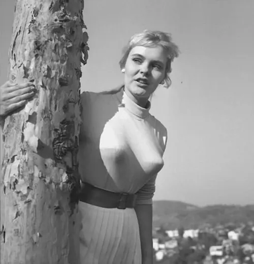 bullet bra vintage photos