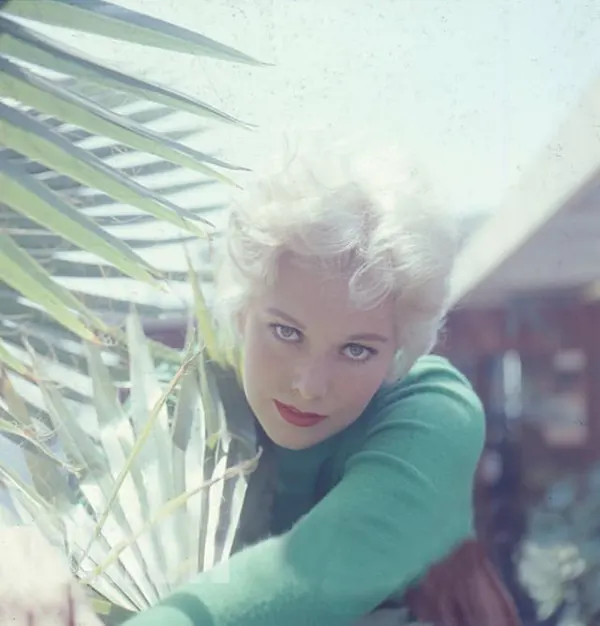 Young Kim Novak Photos