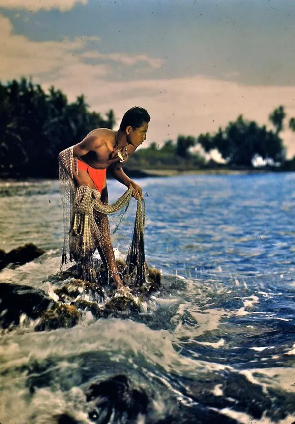 Color Photos of Hawaii 